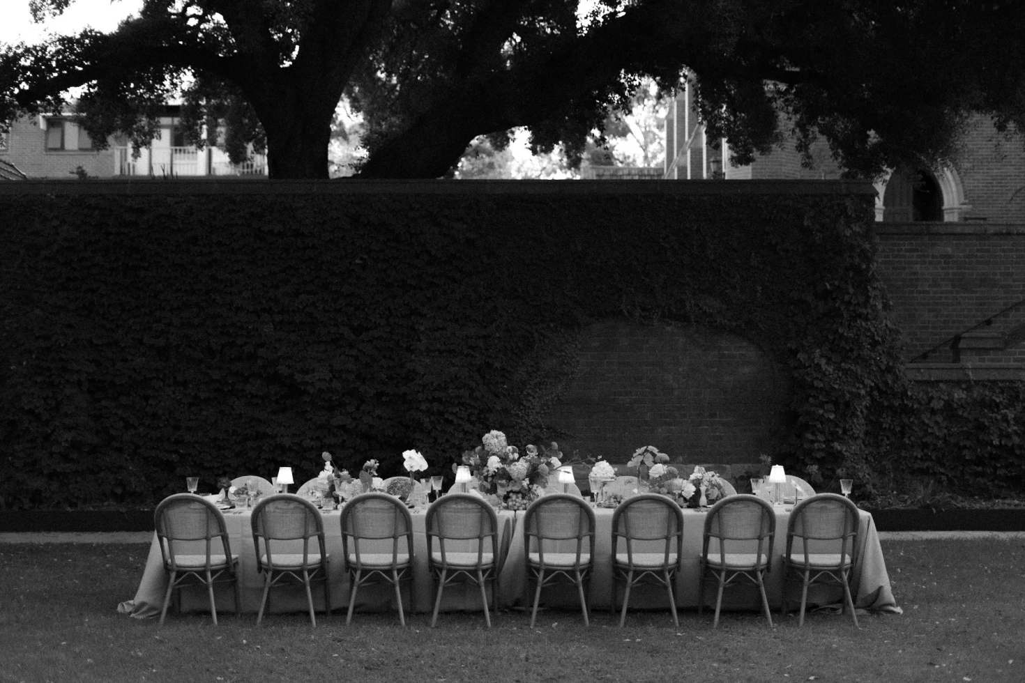 Alice Andre Photography