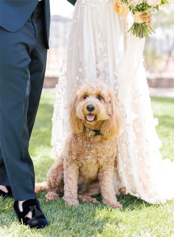 An Outdoor Wedding for Alicia and Taylor