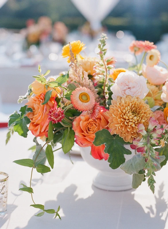 An Outdoor Wedding for Alicia and Taylor