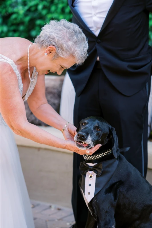 An Outdoor Wedding for Alison and Ken