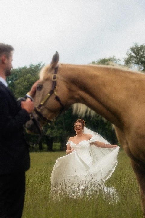 Allison Joy Photography
