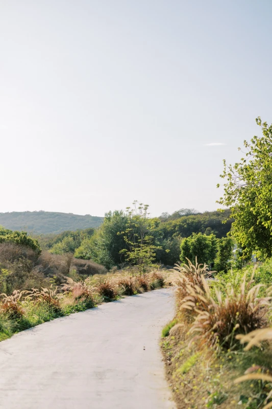 A Garden Wedding for Alma and Ziggy