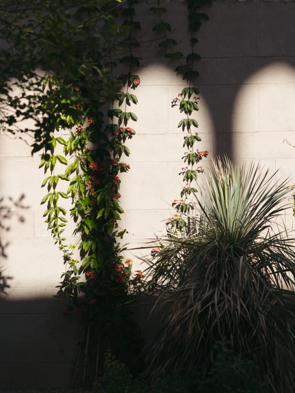 An Modern Wedding for Amanda and Jacob