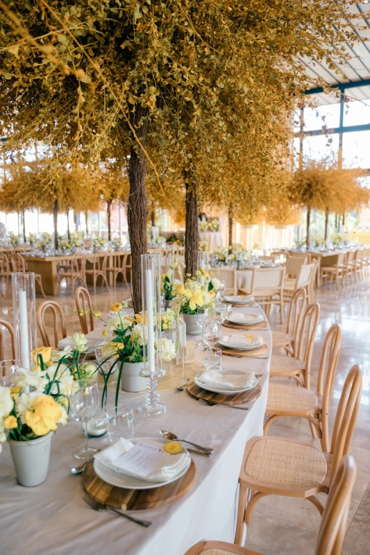 A Yellow Wedding for Andrea and Luis
