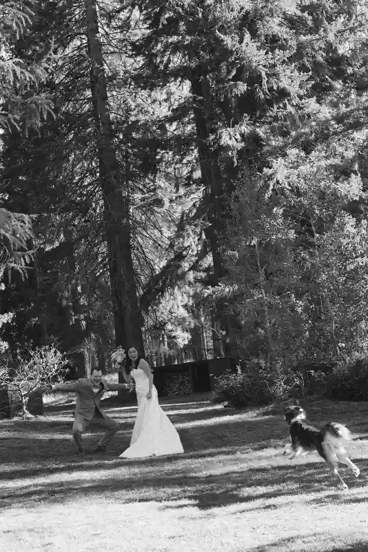 A Forest Wedding for Andrew and Tiffany