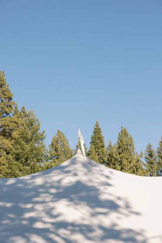 A Forest Wedding for Andrew and Tiffany