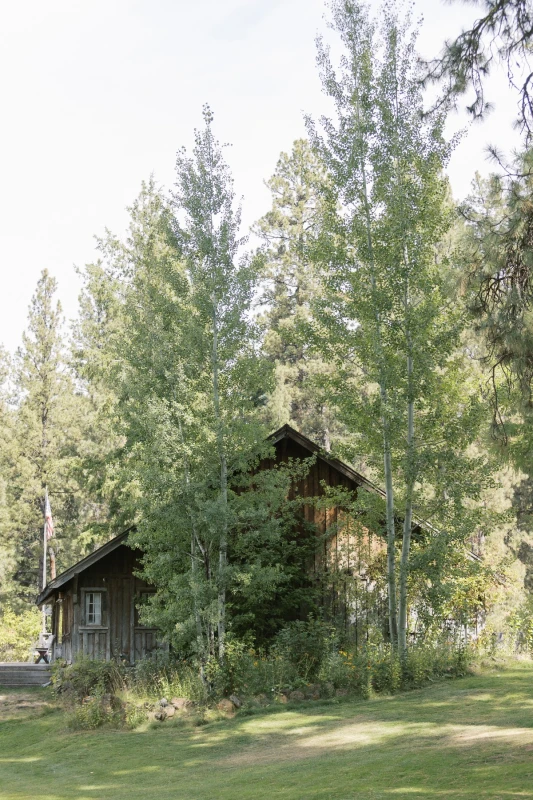 A Forest Wedding for Andrew and Tiffany