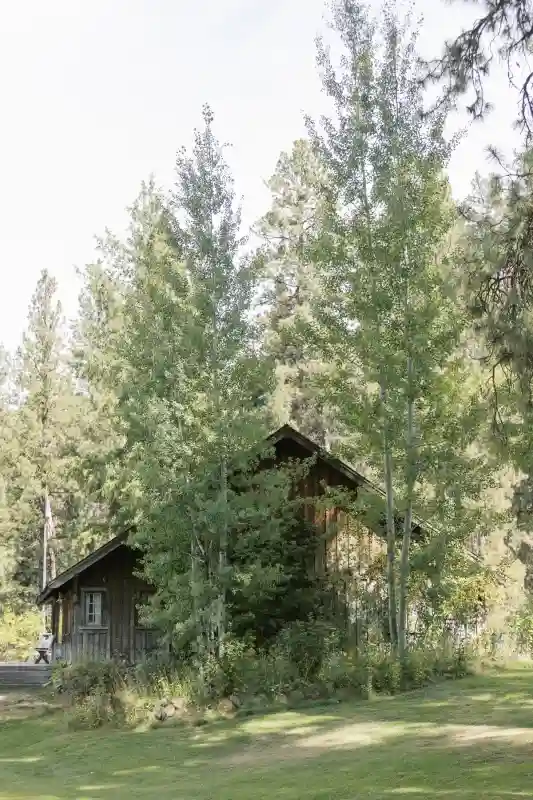 A Forest Wedding for Andrew and Tiffany