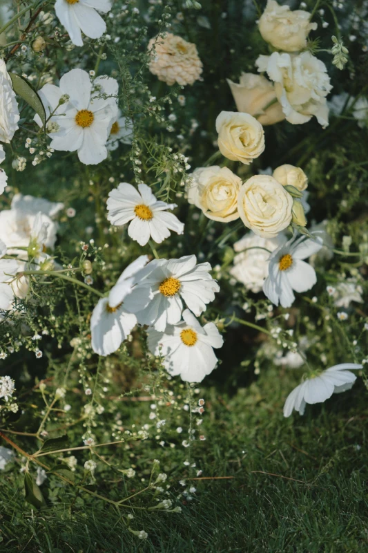 A Forest Wedding for Andrew and Tiffany