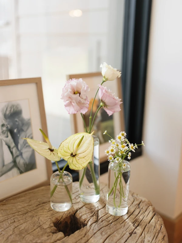 A Mountain Wedding for Anna and Cameron