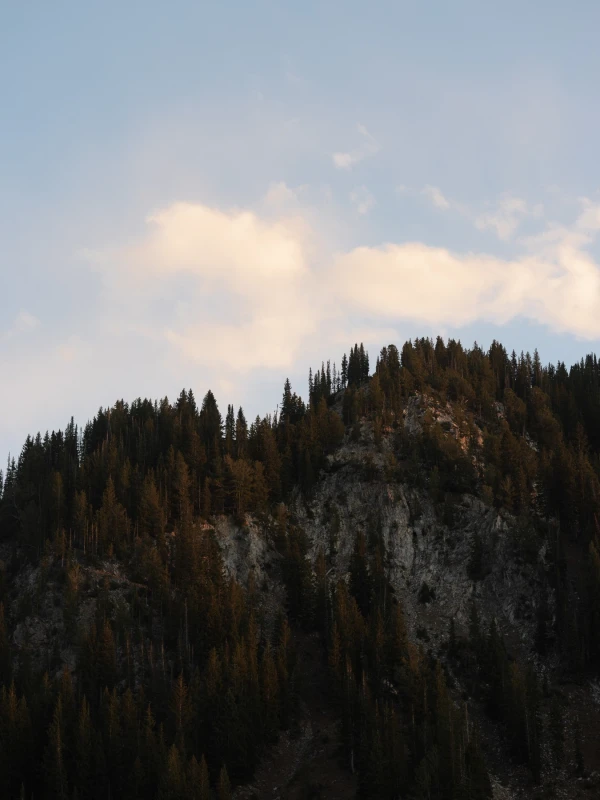 A Mountain Wedding for Anna and Cameron