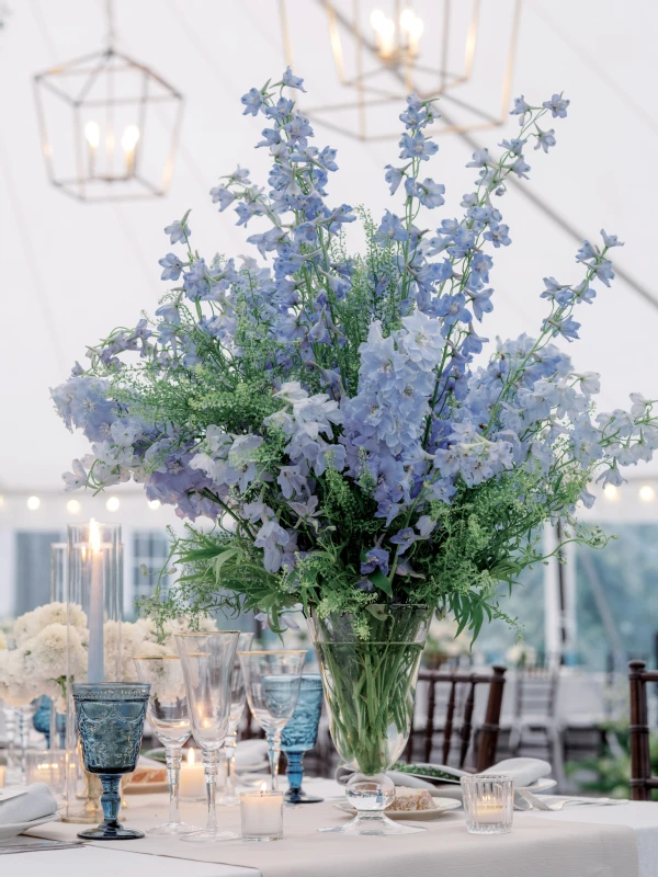 A Formal Wedding for Annie and Taylor