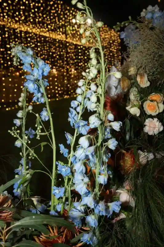 A Colorful Wedding for Annie and Vince