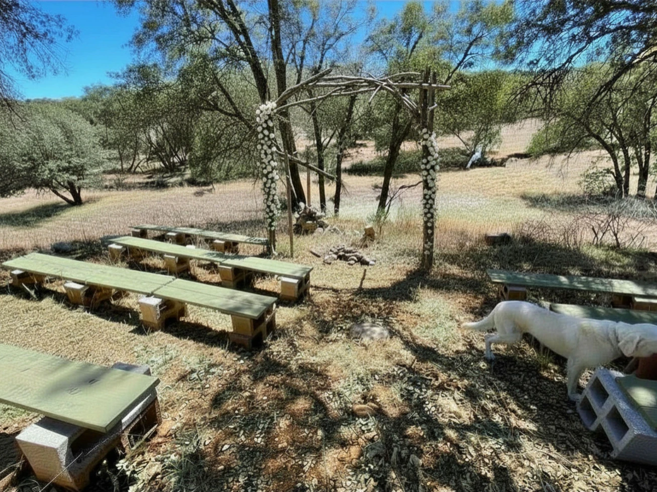 Apache Oaks