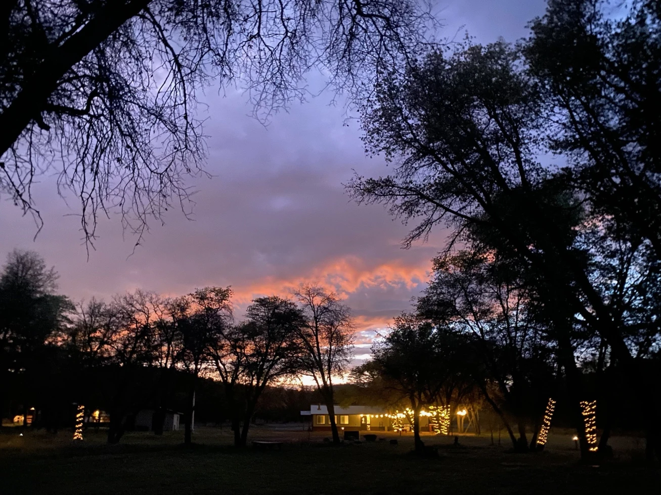 Apache Oaks