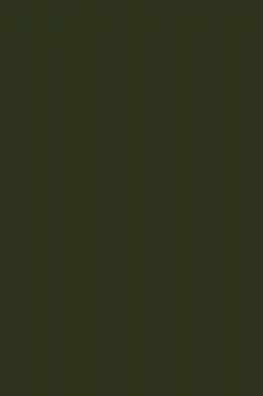 An Elegant Wedding for Arielle  and Andrew 