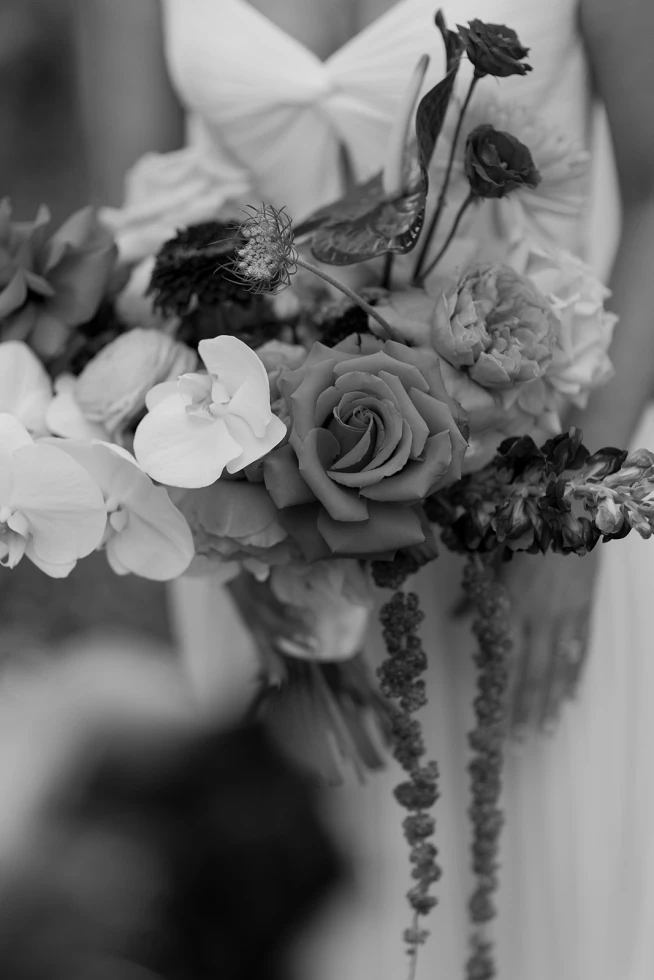 Arielle Gallione Photography