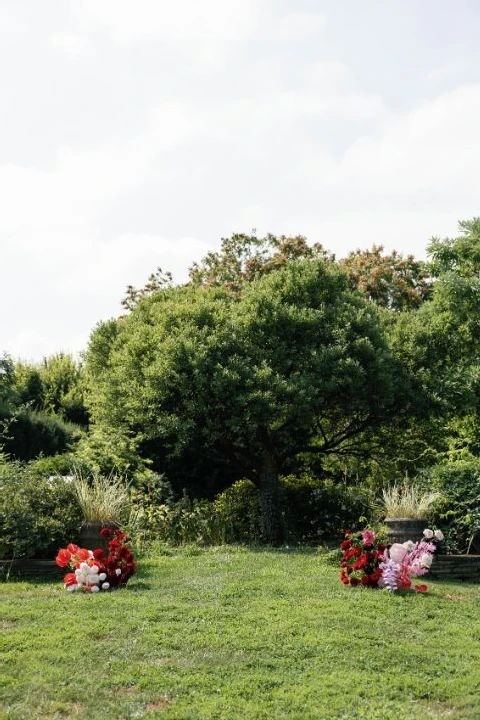 A Colorful Wedding for Arlena and Harrison