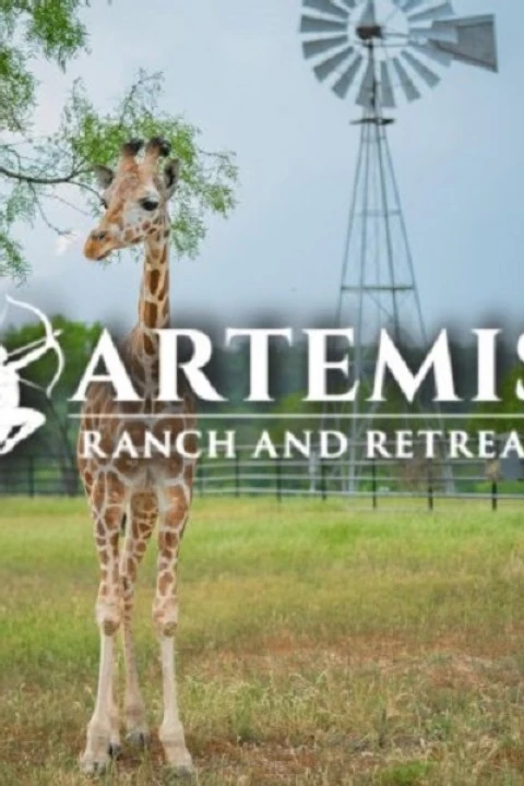 Artemis Ranch & Retreat