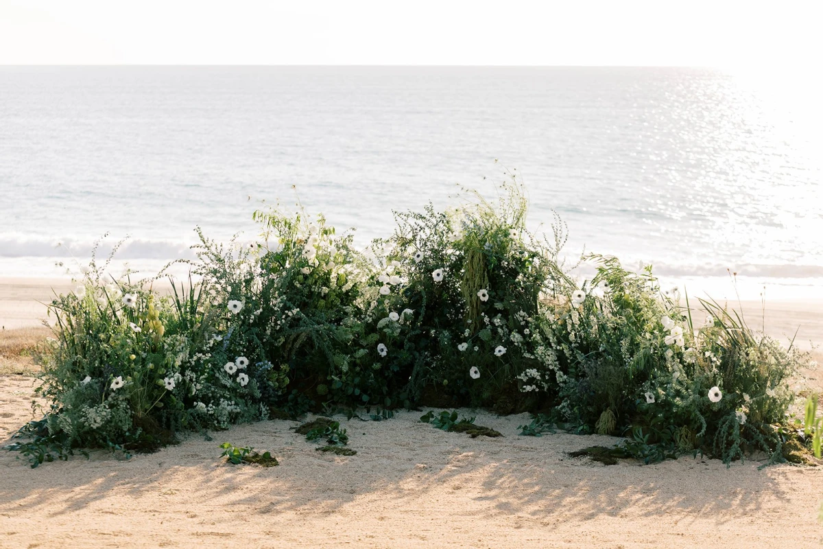 A Beach Wedding for Ashelyn  and Mark
