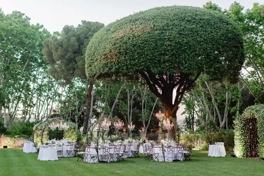 A Classic Wedding for Ashley and Matthew