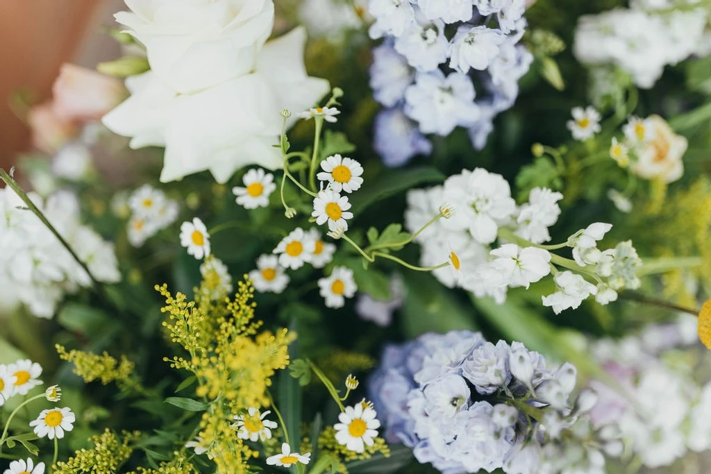 An Outdoor Wedding for Ashley and Preston