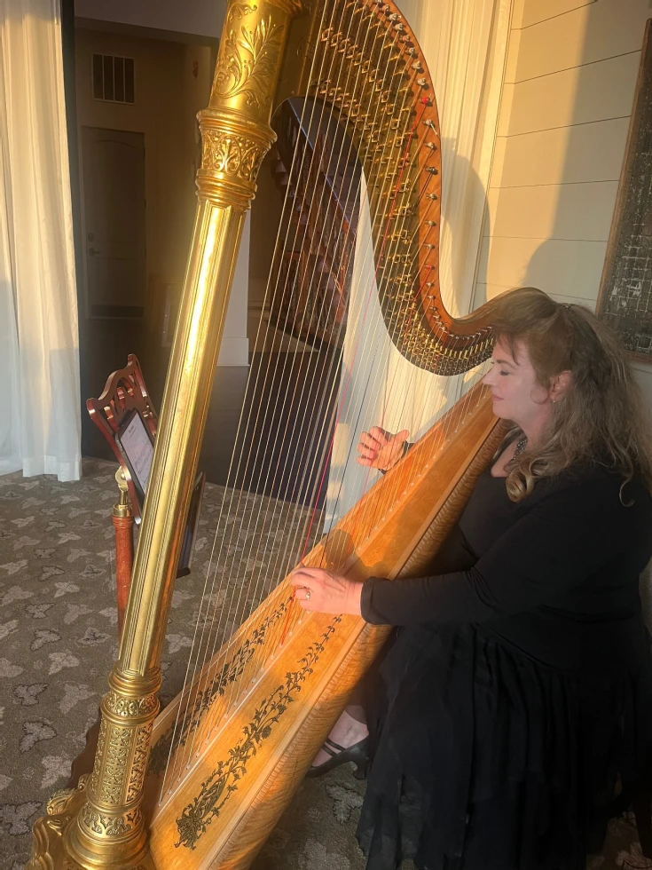 Atlanta Harpist Paula Fagerberg