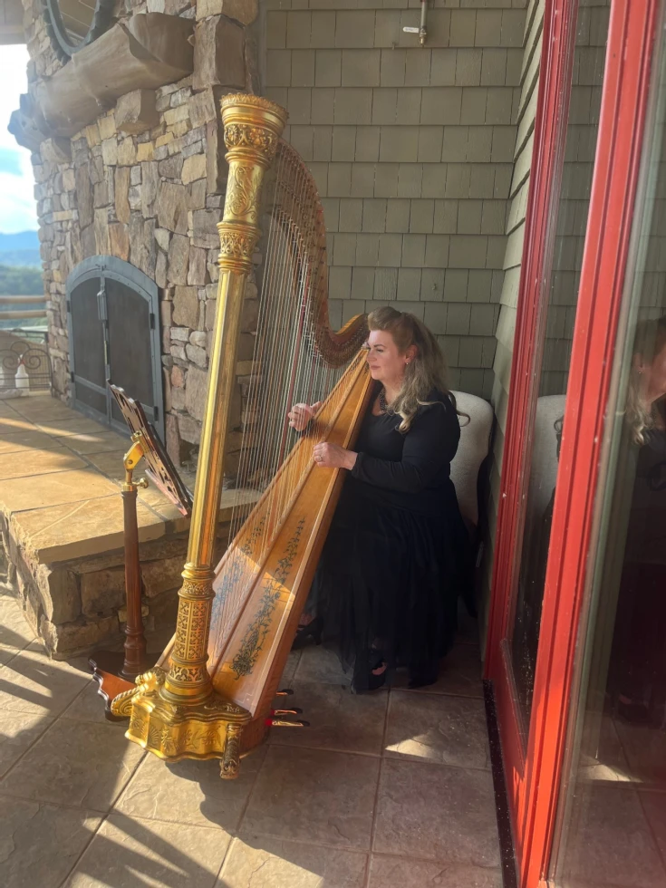 Atlanta Harpist Paula Fagerberg