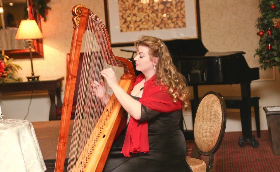 Atlanta Harpist Paula Fagerberg