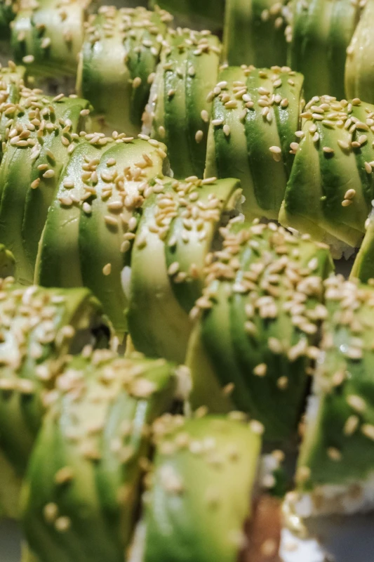 An Estate Wedding for Ava and Kayvan