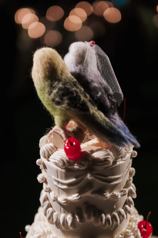 An Estate Wedding for Ava and Kayvan