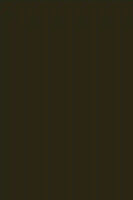 A Wedding for Rimma and Dan