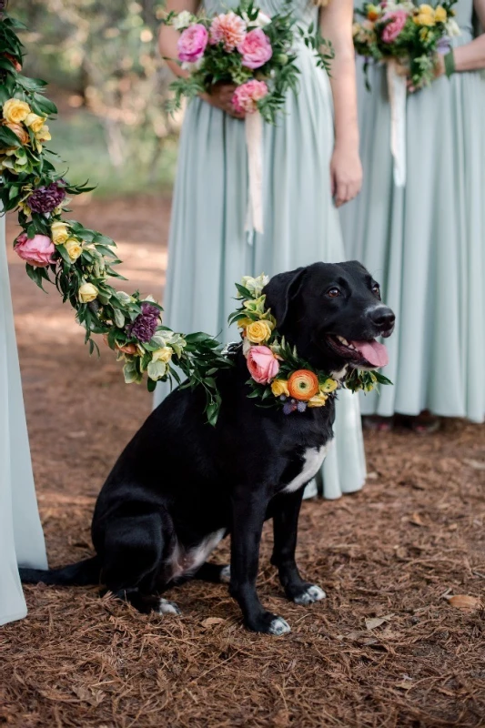 A Forest Wedding for Sarah and Finley