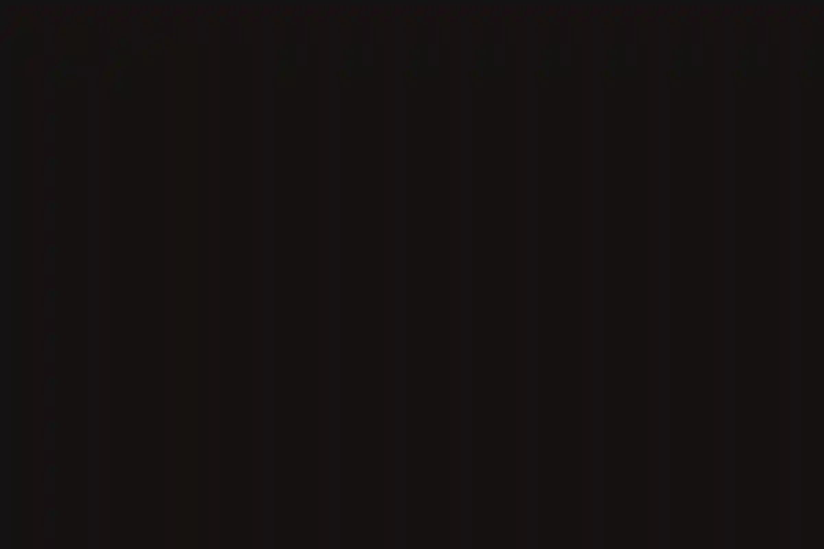 A Wedding for Christine and Ted