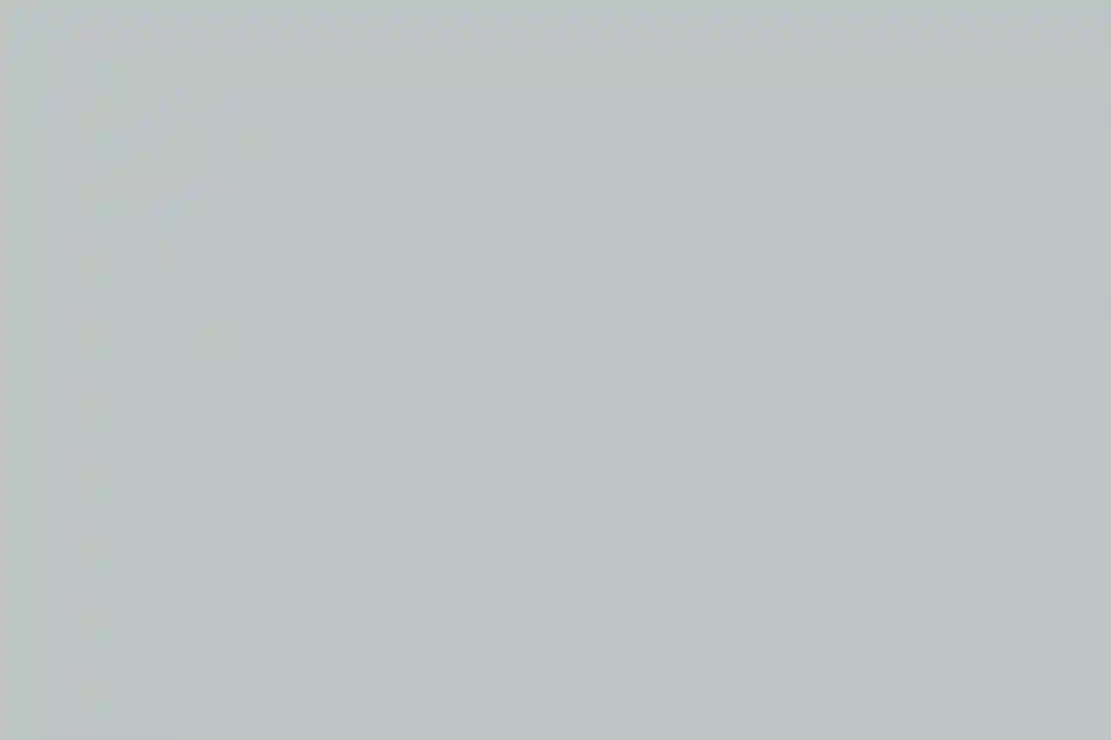 A Classic Wedding for Liz and Jeremy