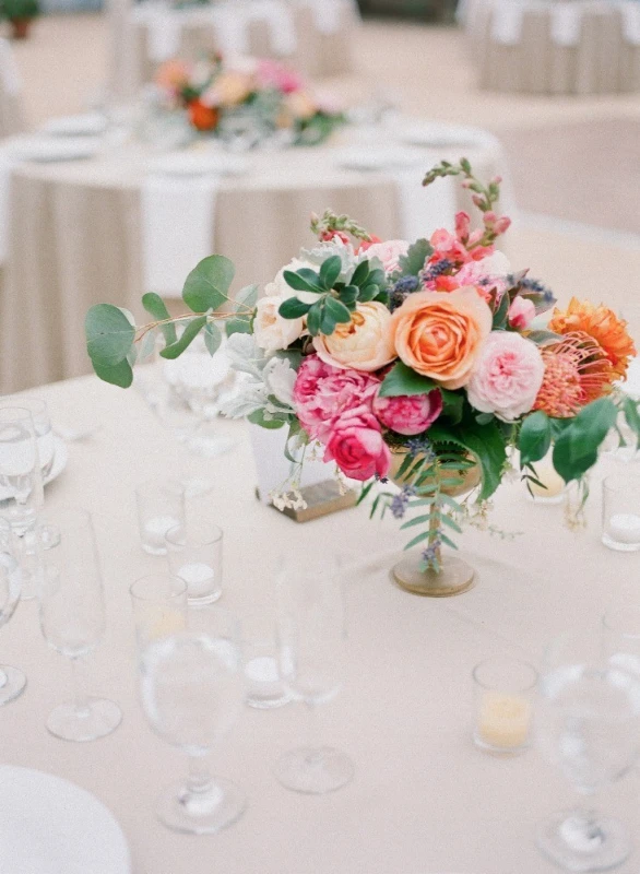 A Wedding for Alex and Andrew