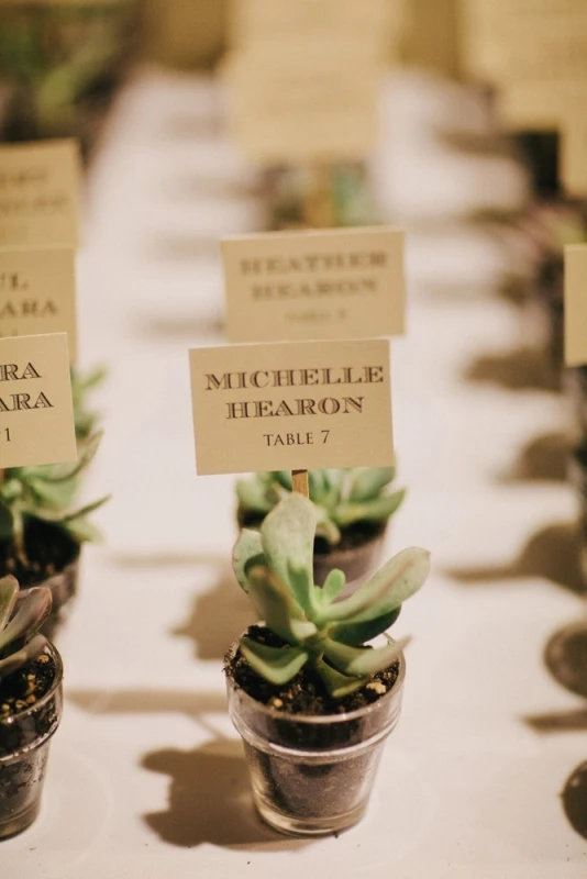 A Wedding for Megan and Jonathan