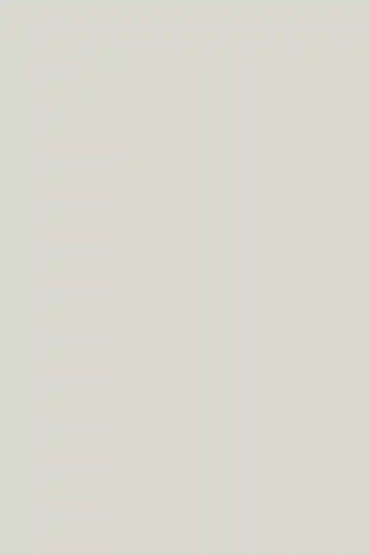 A Wedding for Clara and Scott