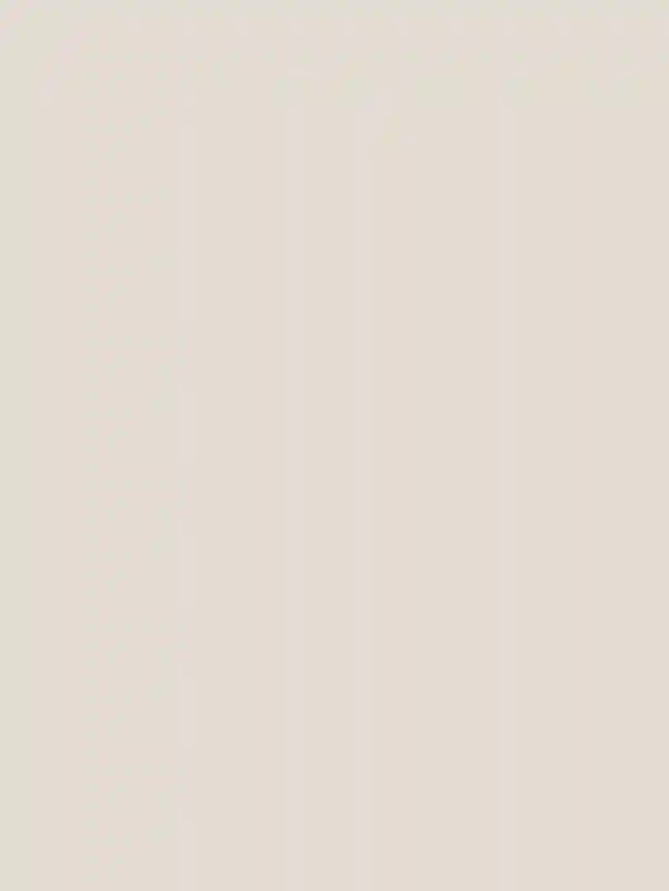 A Wedding for Vanessa and Ramez