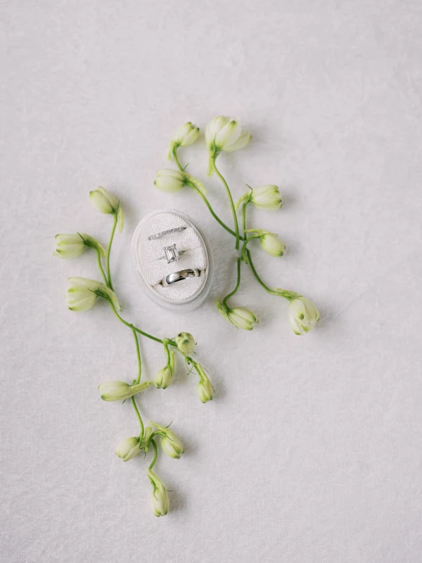 A Classic Wedding for Bella  and Brad 