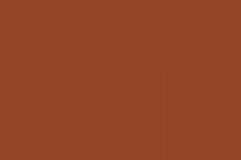 A Wedding for Elise and Burt