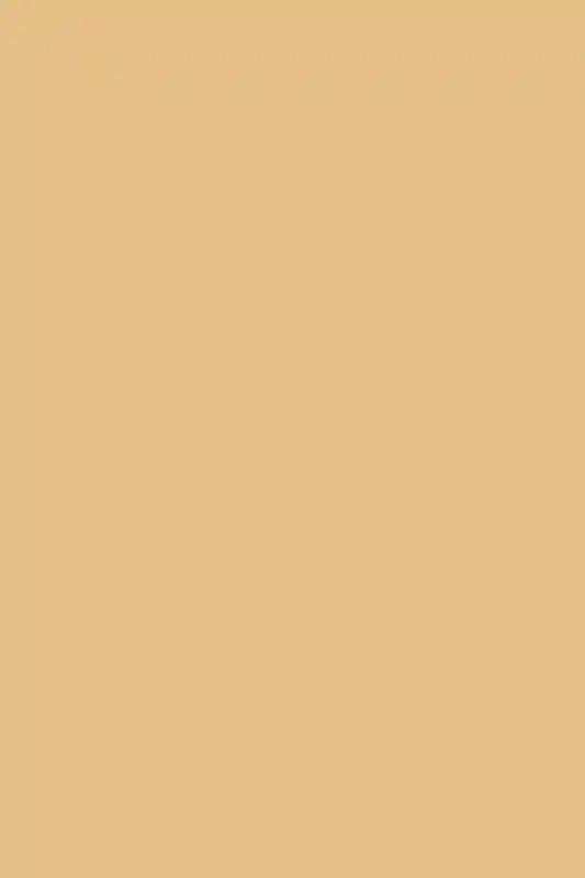 A Wedding for Ariel and John