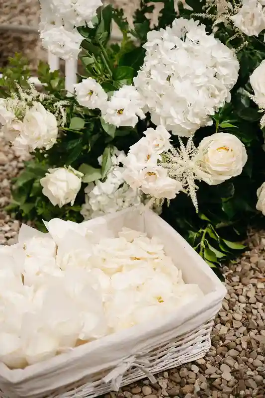 A Formal Wedding for Bianca and Matt
