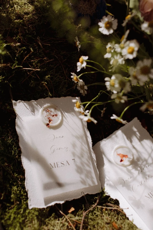 A Garden Wedding for Blanca and Javier