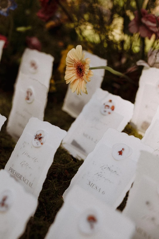 A Garden Wedding for Blanca and Javier