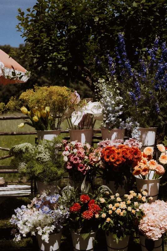 A Garden Wedding for Blanca and Javier