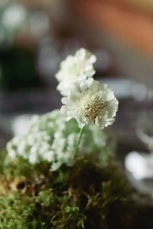 An Edgy Wedding for Brooke and Stephen