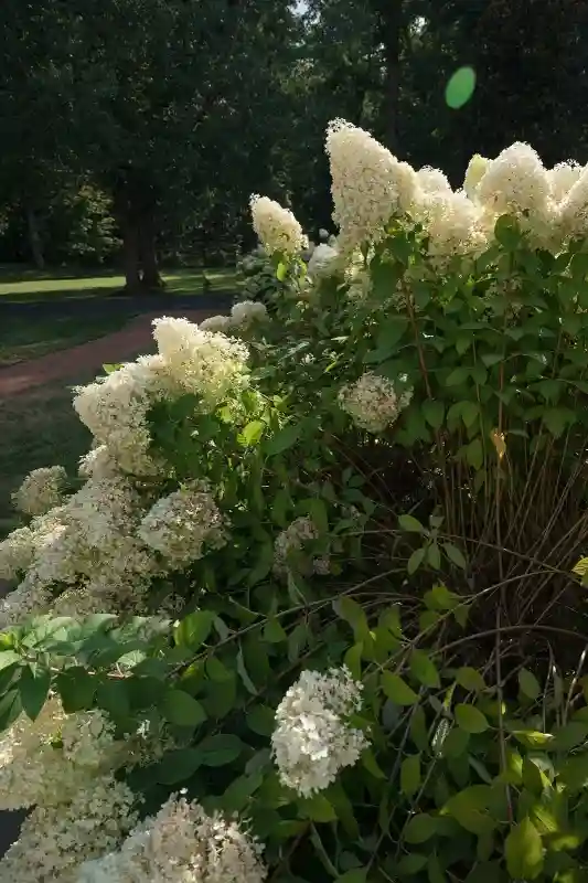 A Vineyard Wedding for Brooke and Kaden