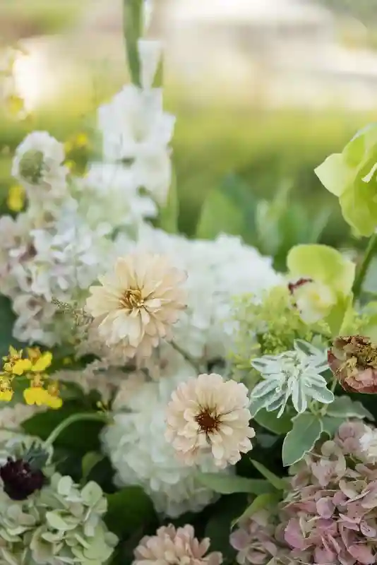 A Vineyard Wedding for Brooke and Kaden