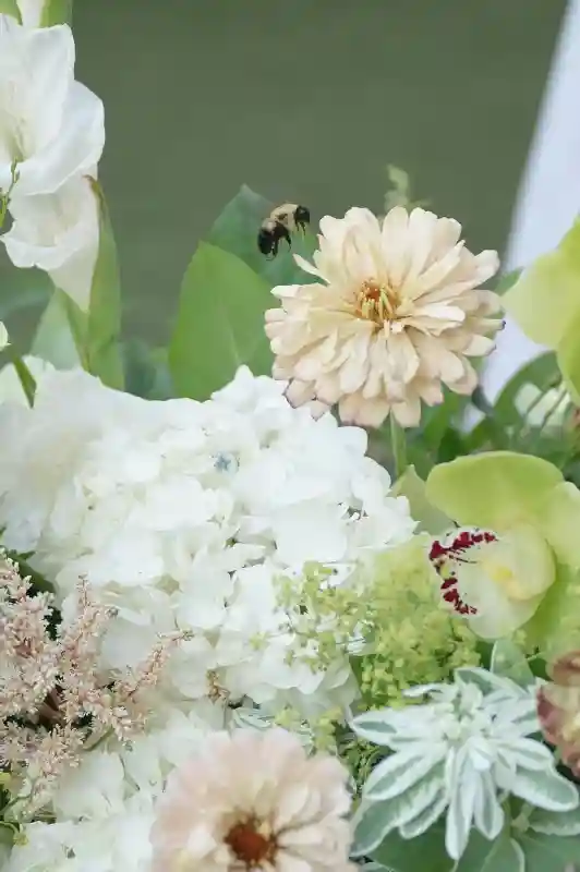 A Vineyard Wedding for Brooke and Kaden